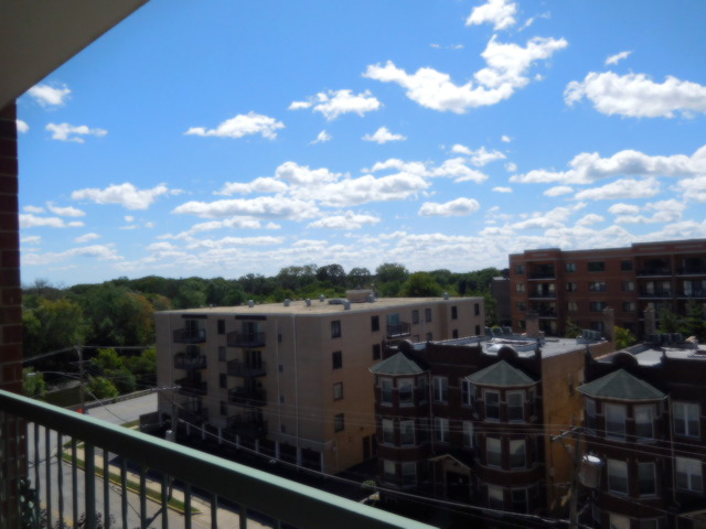 1600 E Thacker St #603, Des Plaines, IL 60016 photo 8