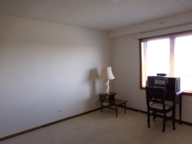 1600 E Thacker St #603, Des Plaines, IL 60016 photo 13