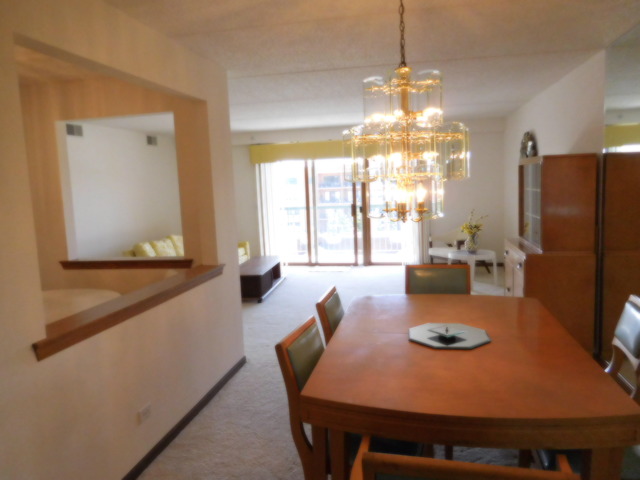 1600 E Thacker St #603, Des Plaines, IL 60016 photo 4