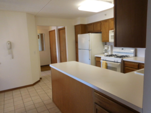 1600 E Thacker St #603, Des Plaines, IL 60016 photo 2