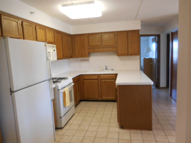 1600 E Thacker St #603, Des Plaines, IL 60016 photo 3