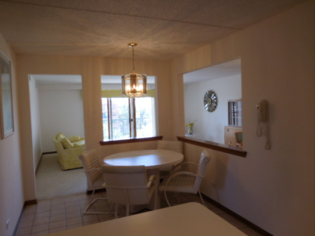 1600 E Thacker St #603, Des Plaines, IL 60016 photo 6