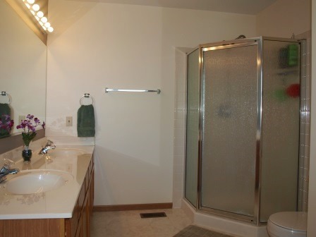 4720 Crystal Trl, Mchenry, IL 60050 photo 10