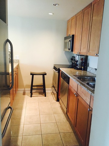 30 E Huron St #1802, Chicago, IL 60611 photo 5