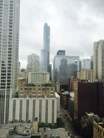30 E Huron St #1802, Chicago, IL 60611 photo 13