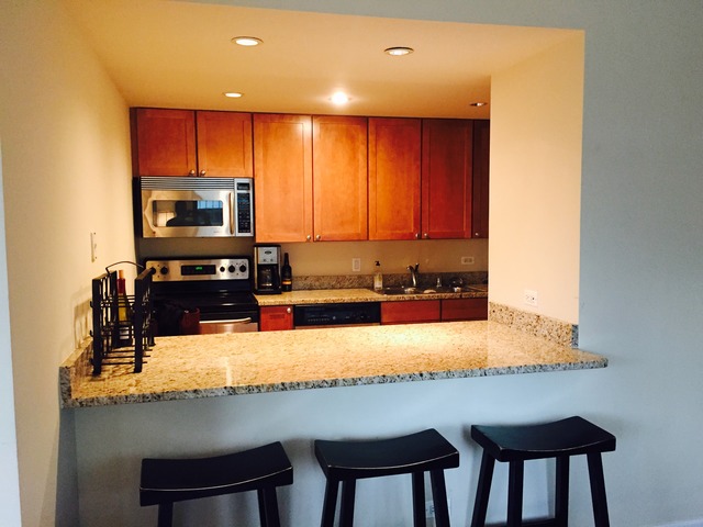 30 E Huron St #1802, Chicago, IL 60611 photo 4