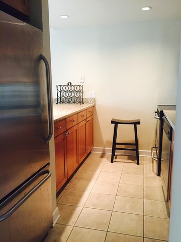 30 E Huron St #1802, Chicago, IL 60611 photo 6