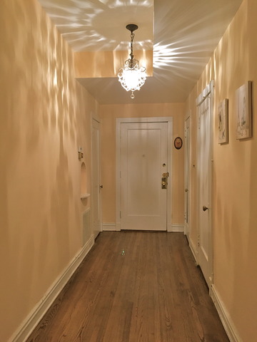 933 E Hyde Park Blvd #2, Chicago, IL 60615 photo 1