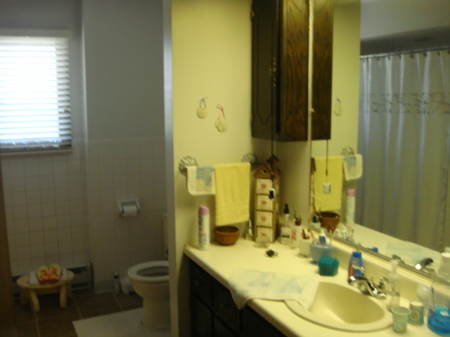 4250 Bell Rd, Minooka, IL 60447 photo 20