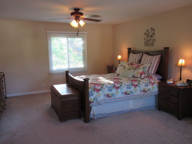 4960 Rochester Dr, Barrington, IL 60010 photo 8