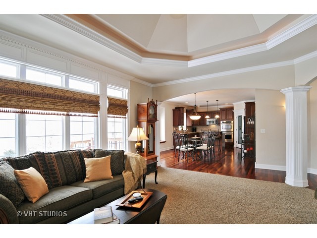 12839 Hawks Bill Ln, Plainfield, IL 60585 photo 9