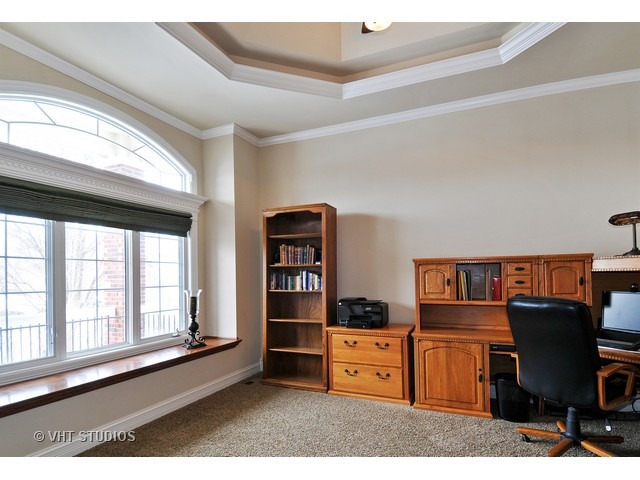 12839 Hawks Bill Ln, Plainfield, IL 60585 photo 10