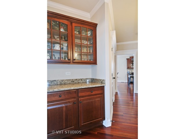12839 Hawks Bill Ln, Plainfield, IL 60585 photo 8