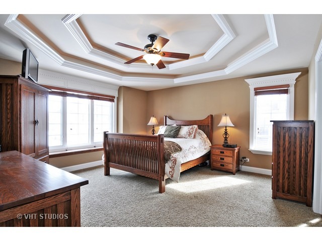 12839 Hawks Bill Ln, Plainfield, IL 60585 photo 11