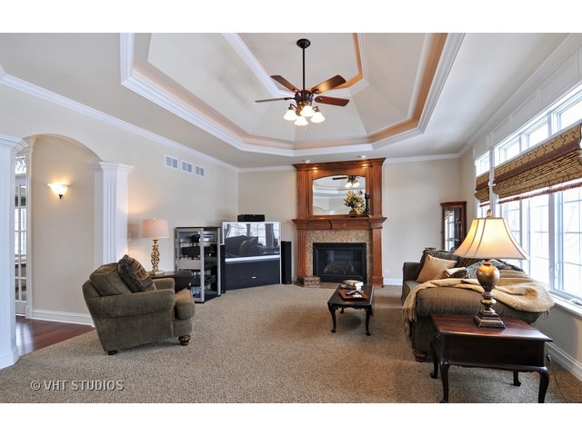 12839 Hawks Bill Ln, Plainfield, IL 60585 photo 6