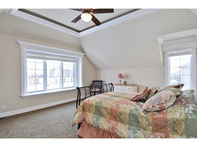12839 Hawks Bill Ln, Plainfield, IL 60585 photo 13