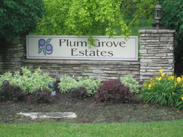 351 S Circle Dr, Palatine, IL 60067 photo 16