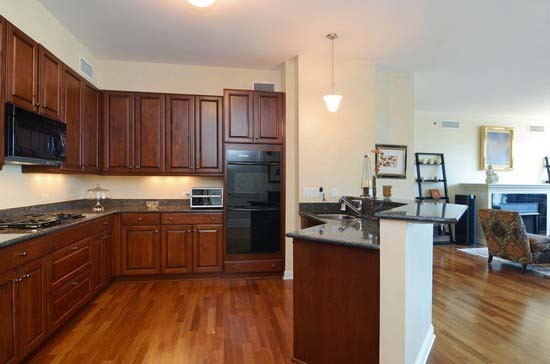 21 E Huron St #2305, Chicago, IL 60611 photo 11