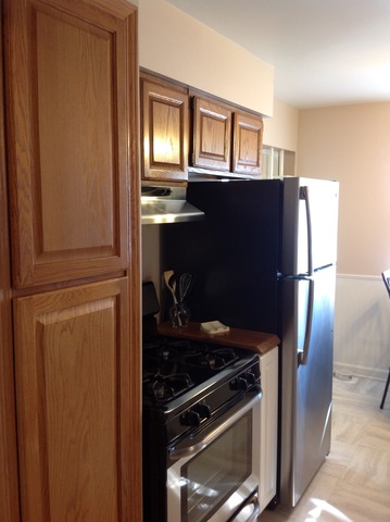 7620 Lorel Ave, Burbank, IL 60459 photo 9
