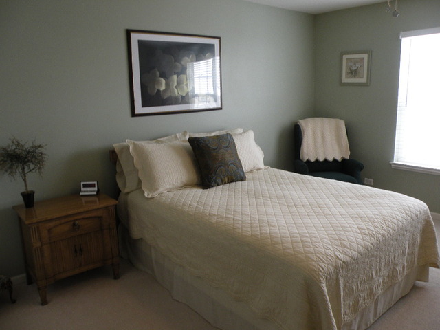 2974 Talaga Dr, Algonquin, IL 60102 photo 10