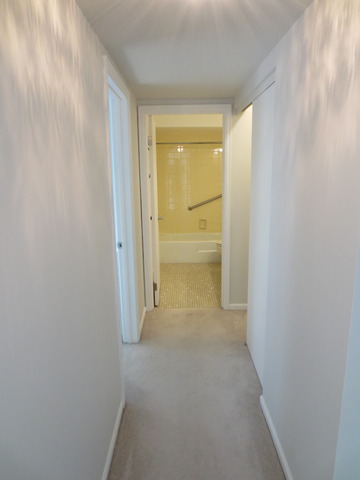 5200 Carriageway Dr #102, Rolling Meadows, IL 60008 photo 18