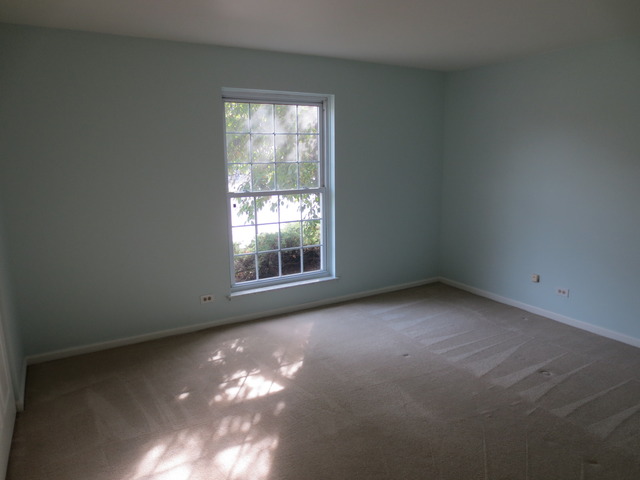 5200 Carriageway Dr #102, Rolling Meadows, IL 60008 photo 15