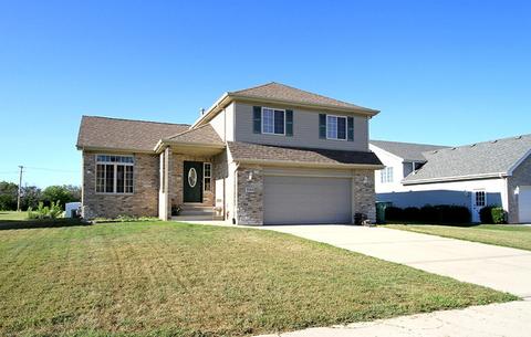 1068 Madison Ave, Braidwood, IL 60408 photo 2