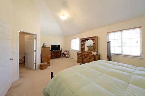 1068 Madison Ave, Braidwood, IL 60408 photo 8