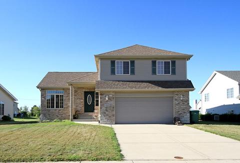 1068 Madison Ave, Braidwood, IL 60408 photo 1