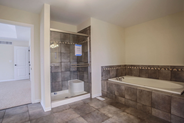 26737 Lindengate Cir, Plainfield, IL 60585 photo 15