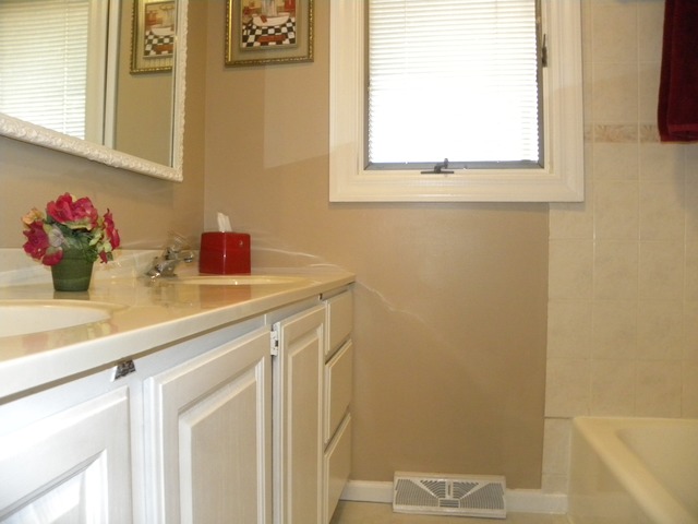 3309 Plum Grove Dr, Rolling Meadows, IL 60008 photo 20