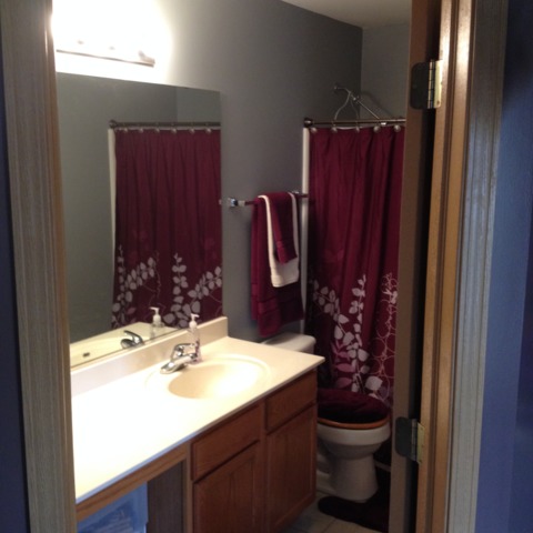 21335 Edison Ln, Plainfield, IL 60544 photo 5