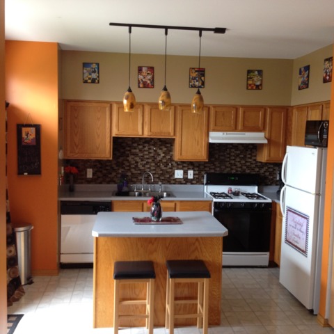 21335 Edison Ln, Plainfield, IL 60544 photo 4