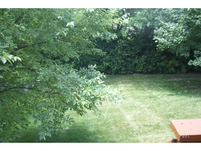 126 Deer Run Ln, Elgin, IL 60120 photo 11