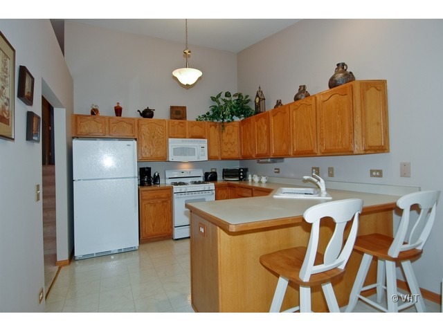 126 Deer Run Ln, Elgin, IL 60120 photo 2