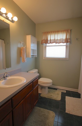 2311 Gustave Ln, Plainfield, IL 60586 photo 15