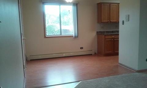 8251 S Roberts Rd #2B, Bridgeview, IL 60455 photo 5