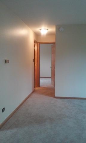 8251 S Roberts Rd #2B, Bridgeview, IL 60455 photo 9
