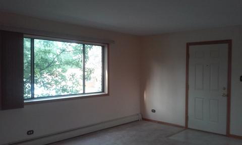 8251 S Roberts Rd #2B, Bridgeview, IL 60455 photo 11