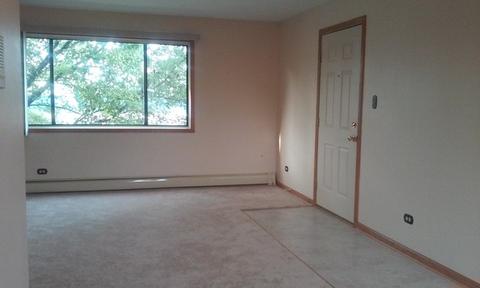 8251 S Roberts Rd #2B, Bridgeview, IL 60455 photo 10