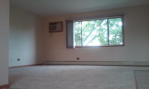 8251 S Roberts Rd #2B, Bridgeview, IL 60455 photo 4