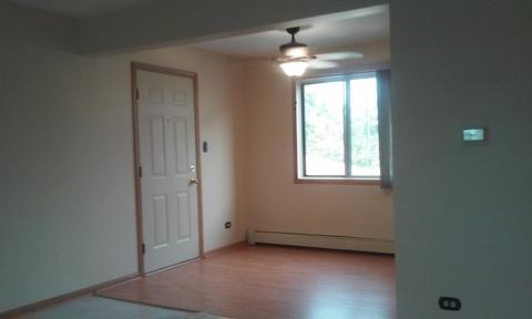 8251 S Roberts Rd #2B, Bridgeview, IL 60455 photo 3
