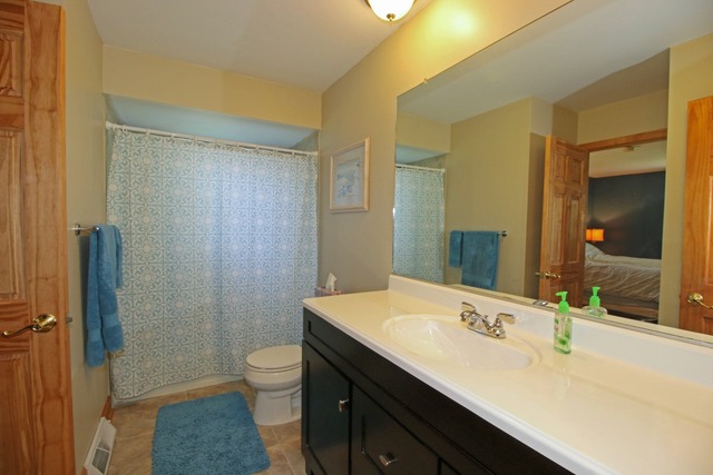304 Rustic Ln, Algonquin, IL 60102 photo 11