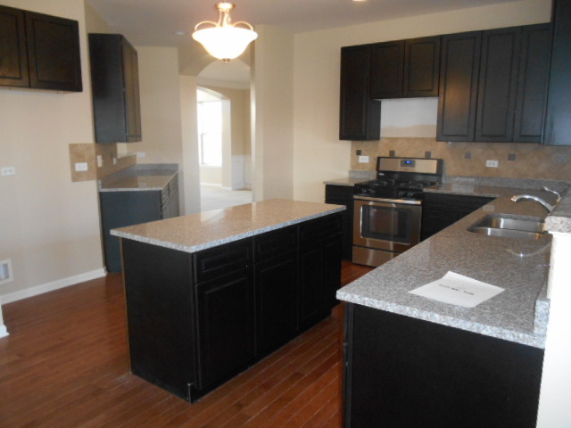 26409 Rustling Birch Way, Plainfield, IL 60585 photo 2