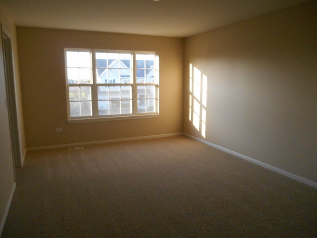 26409 Rustling Birch Way, Plainfield, IL 60585 photo 9