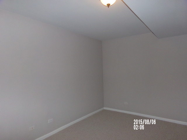 3 Grayhawk Ct, Algonquin, IL 60102 photo 22