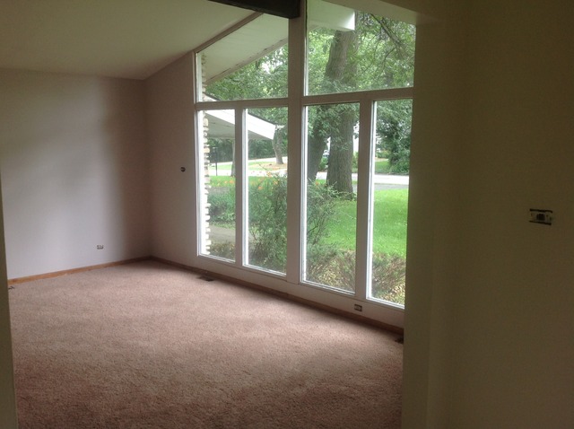 13 Strauss Ln, Olympia Fields, IL 60461 photo 12