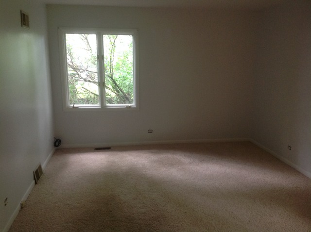 13 Strauss Ln, Olympia Fields, IL 60461 photo 15