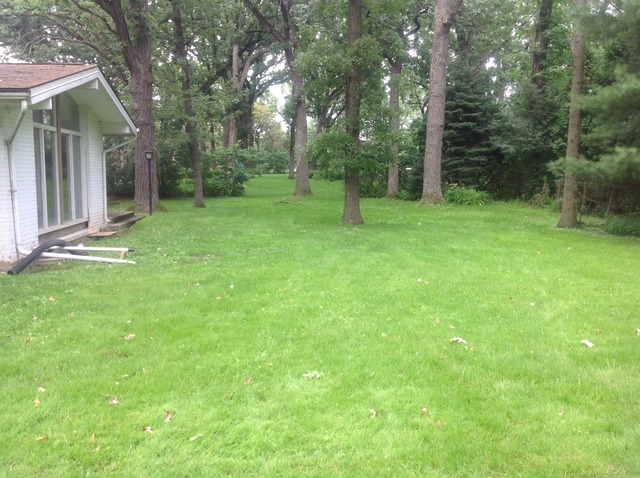 13 Strauss Ln, Olympia Fields, IL 60461 photo 6