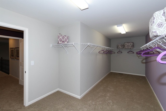3652 Ancient Oak Dr, Elgin, IL 60124 photo 17
